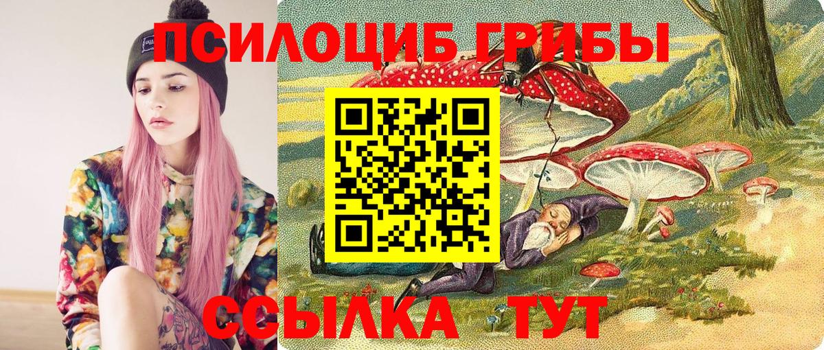 Галлюциногенные грибы MAGIC MUSHROOMS  Томск 