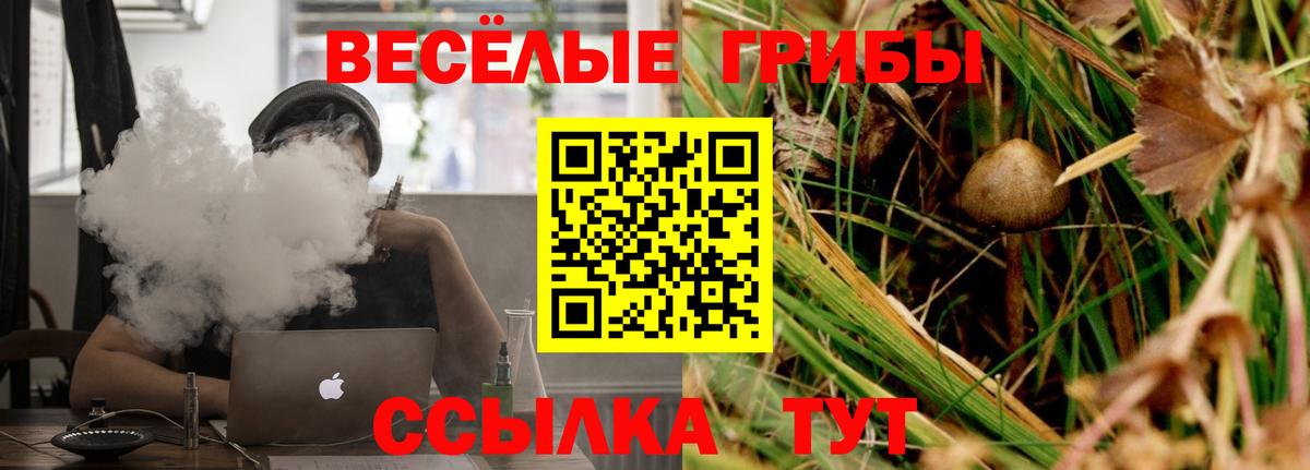 Томск  Галлюциногенные грибы Psilocybine cubensis  Галлюциногенные грибы ЛСД  наркошоп  Вход с VPN 