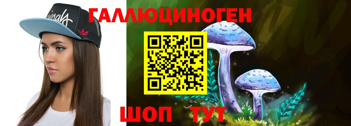 Псилоцибиновые грибы ЛСД Томск